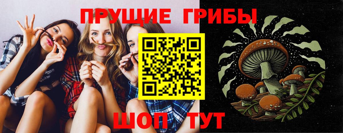 Братск  Псилоцибиновые грибы Psilocybe  Вход с VPN  Псилоцибиновые грибы Psilocybe 