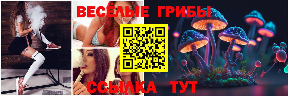 Псилоцибиновые грибы мухоморы Братск
